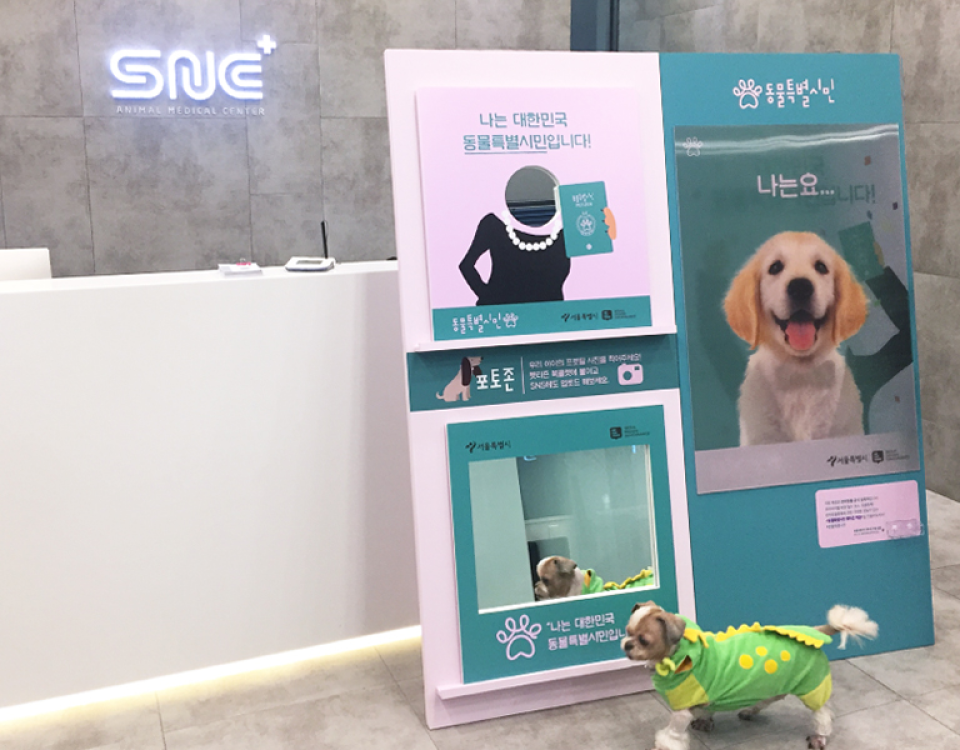 2017 서울시 디자인 거버넌스